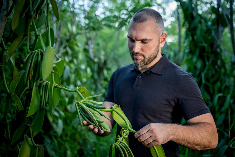 Vanileco: Traceability Is Our Signature