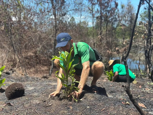 Protecting Madagascar's Forests: How Vanileco Fights Fires and Builds a Sustainable Future