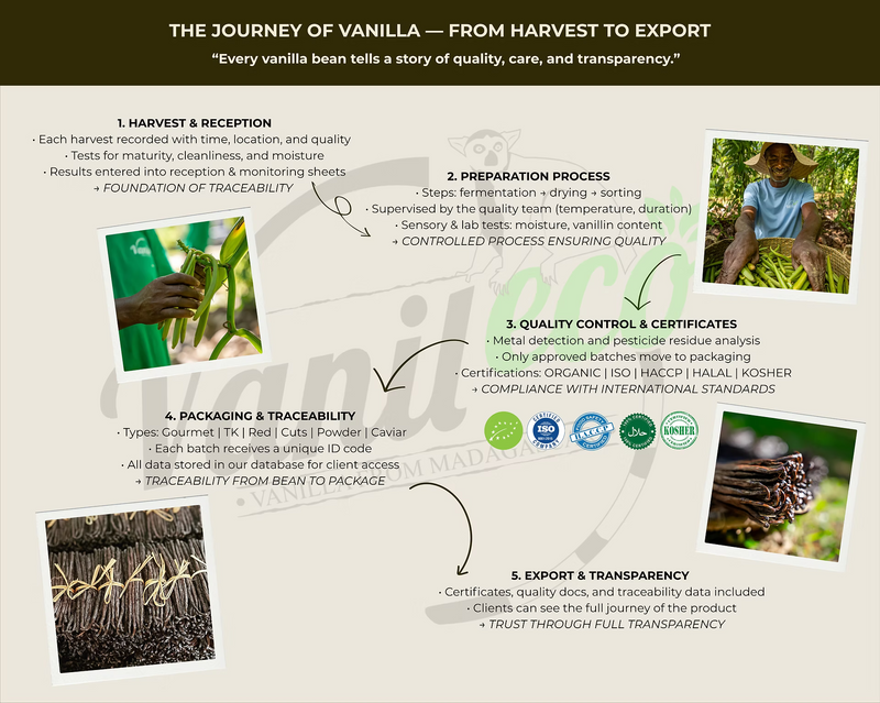 Vanileco: Traceability Is Our Signature