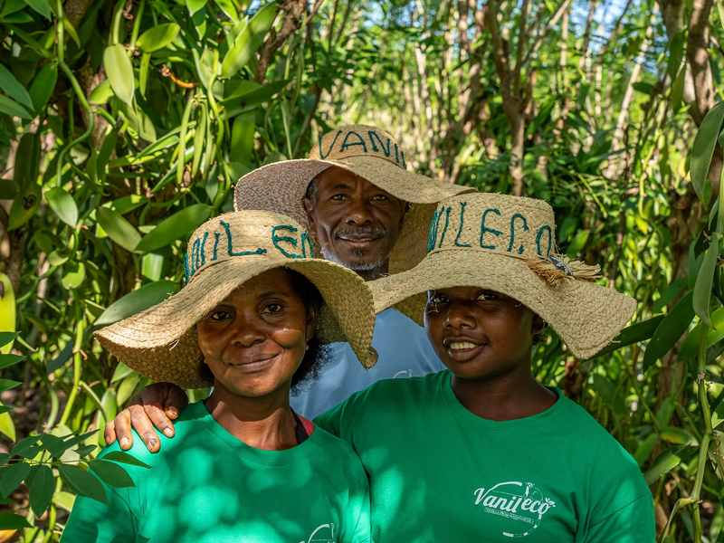Vanilla Harvest Has Officially Begun in Madagascar