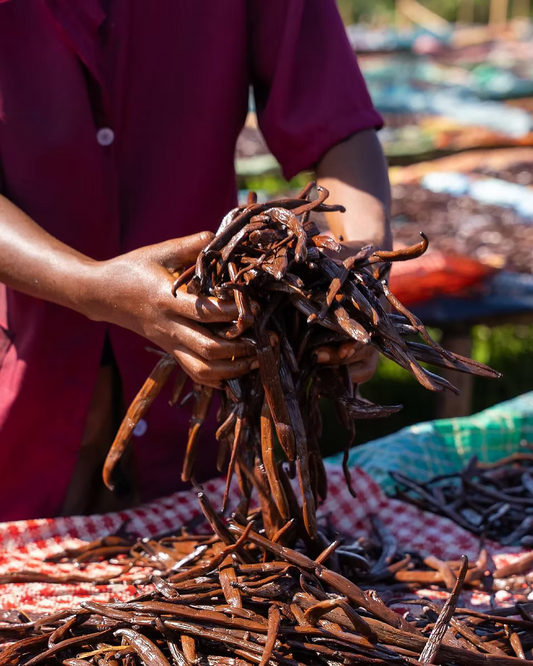 New Phase for Madagascar's Vanilla Export Season: 2025-2026 Update