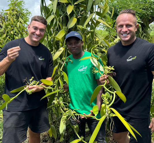 How Vanilla Is Hand-Pollinated in Madagascar: The Full Process