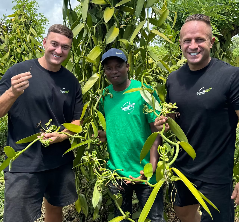 How Vanilla Is Hand-Pollinated in Madagascar: The Full Process