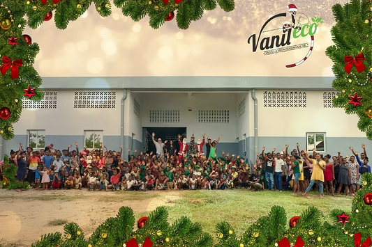 Happy New Year from Vanileco