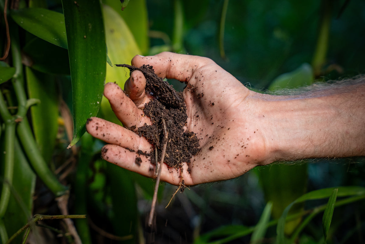 Soil Preparation