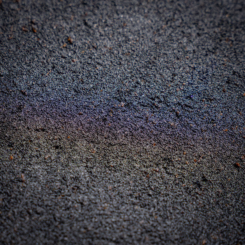 Close-up macro of Madagascar Bourbon vanilla caviar, showing the dense texture of tiny black vanilla seeds.
