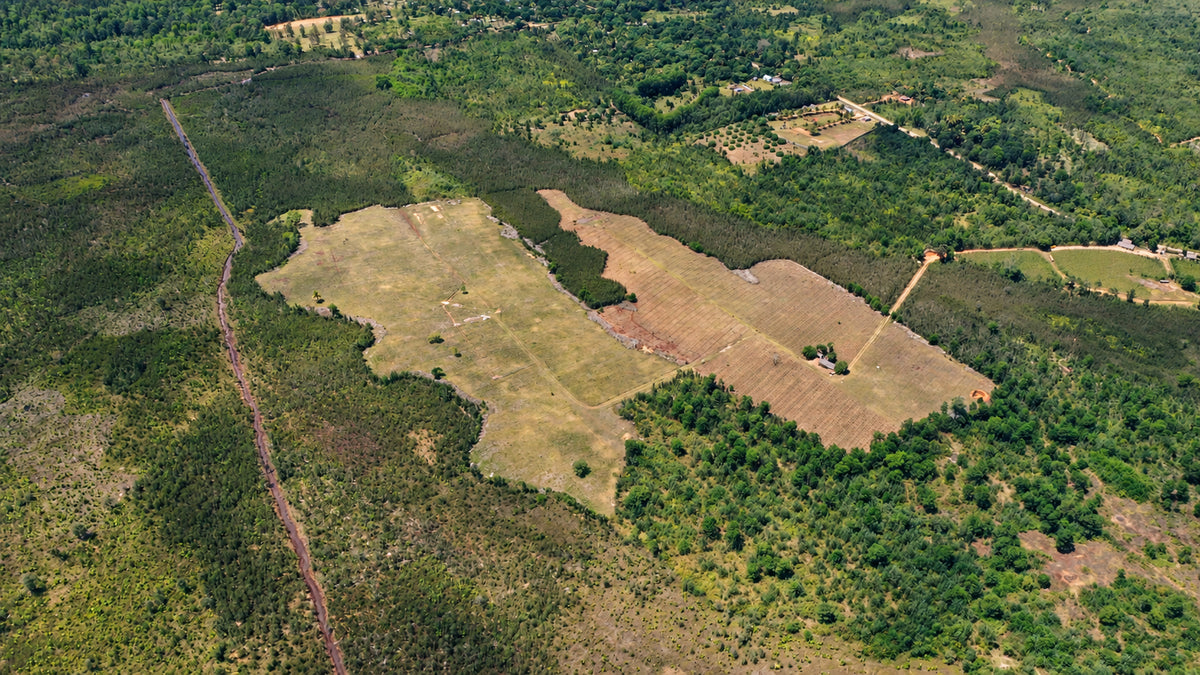Environment