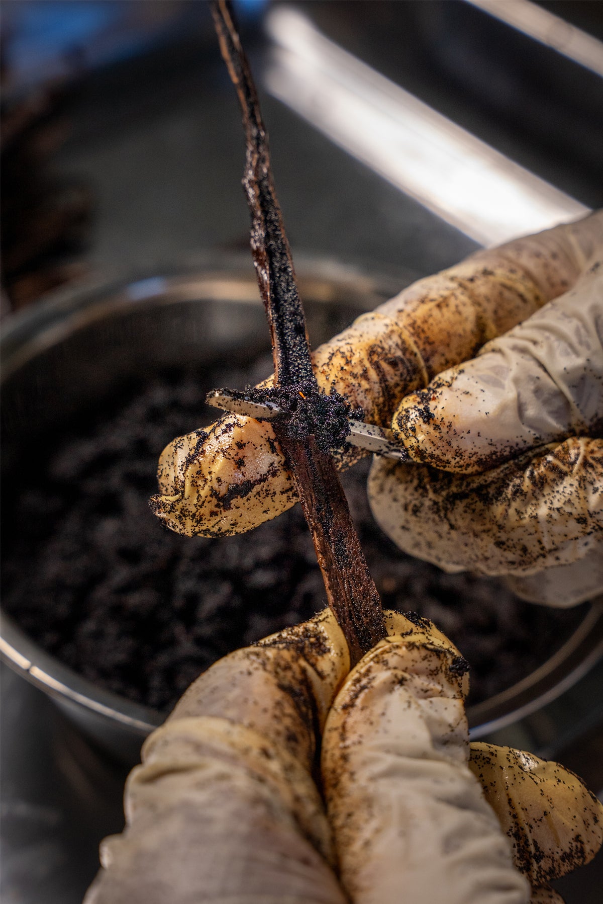 Vanilla Seeds