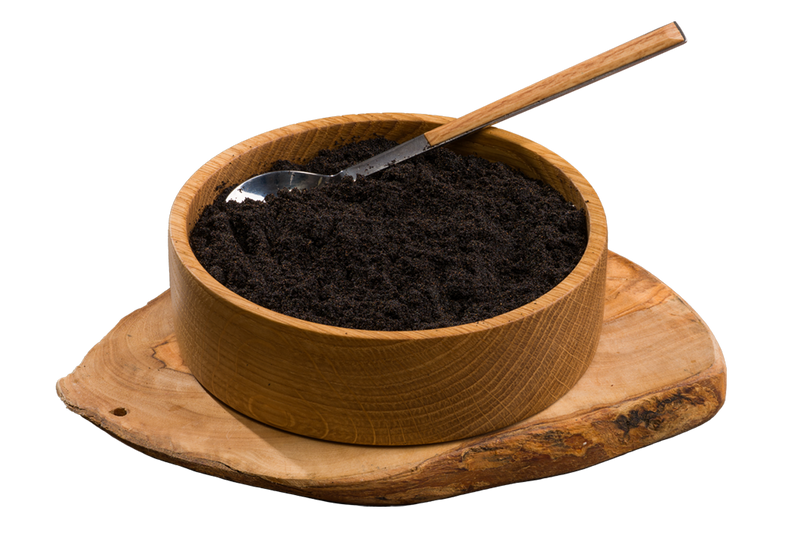 Vanilla Seeds